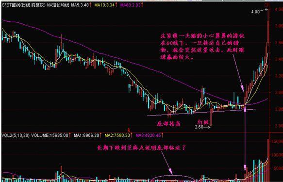 香港精准特马免费资料|精选解释解析落实旗舰版250.332