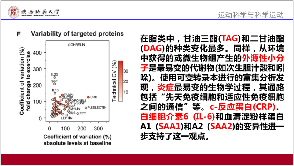 澳门最准的资料免费公开|构建解答解释落实优化版210.281