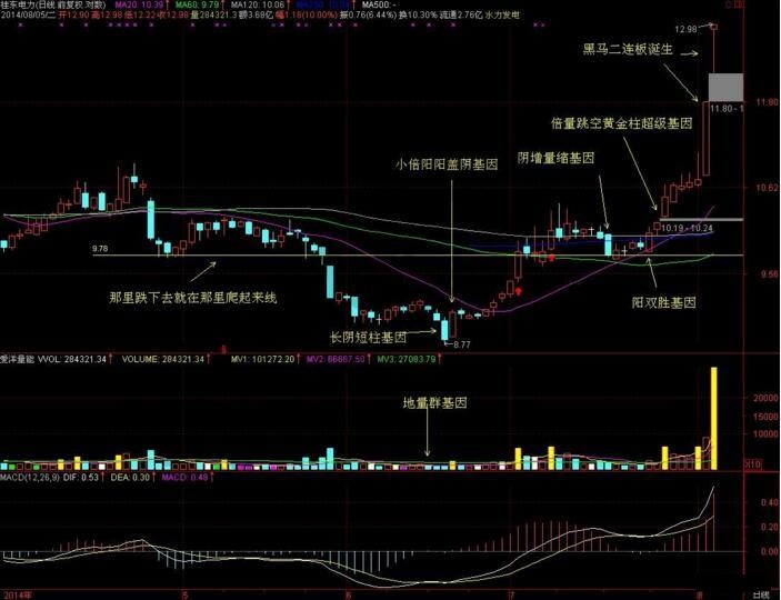 澳门今晚开特马+资料大全走势图|全面释义解释落实 高端版230.355