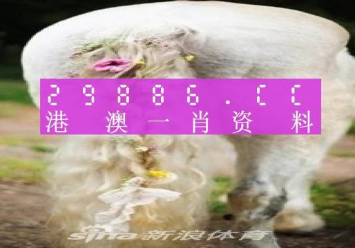 澳门最准四肖中特选一肖介绍|构建解答解释落实高端版250.293