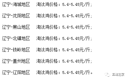 辽宁今日生猪最新价格动态及分析