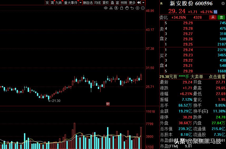 ST金正最新消息全面解析