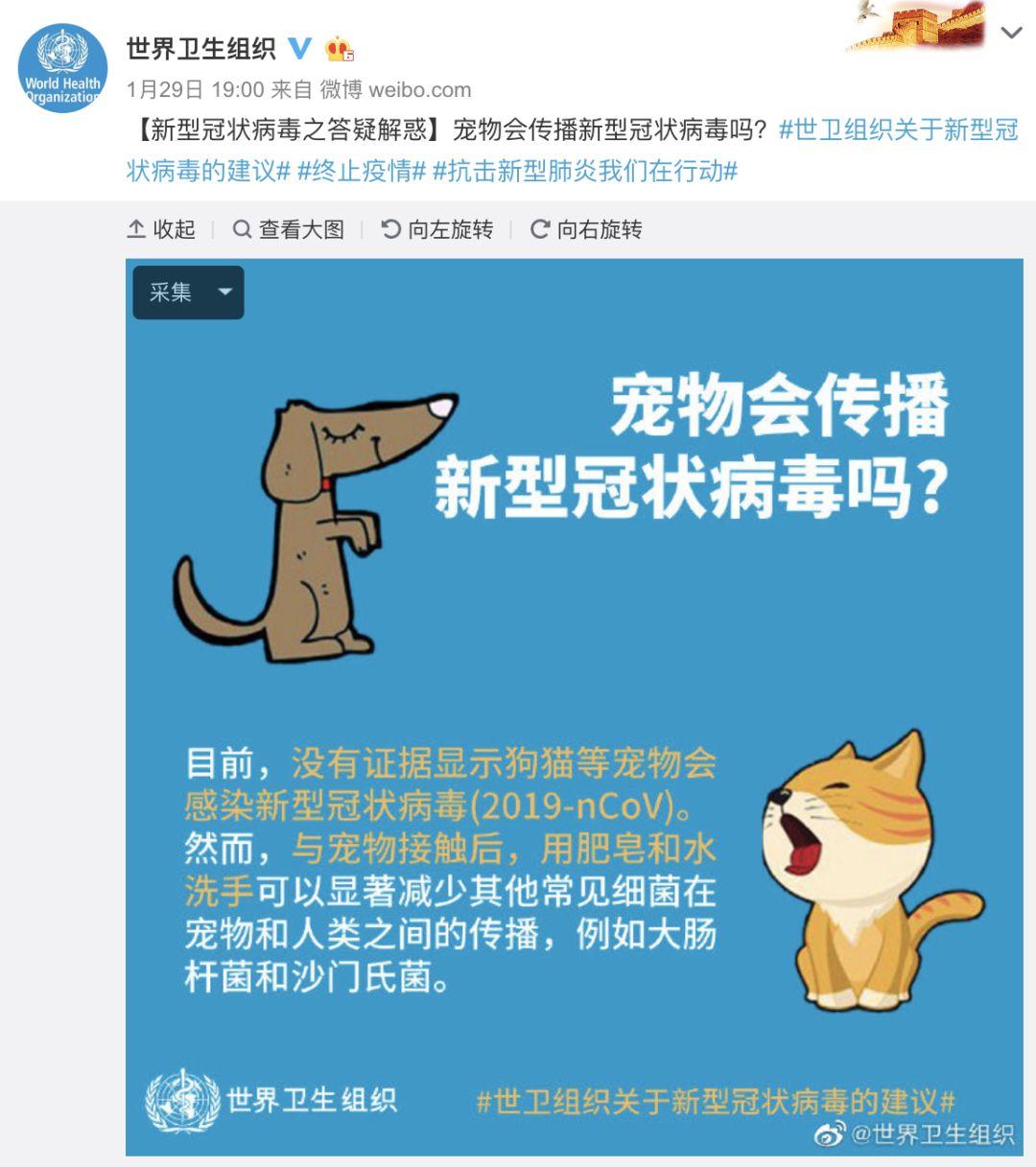 香港最新冠状病疫情，挑战与应对策略