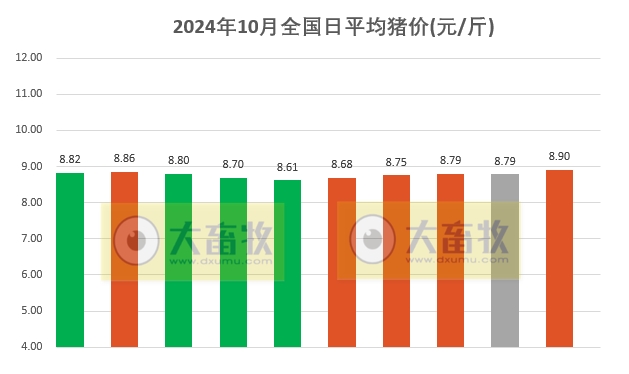 今日猪价最新价格完整分析