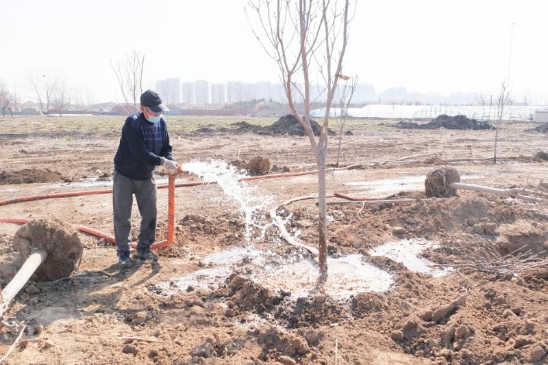 青岛最新确诊病例及其影响，城市防疫工作的挑战与应对