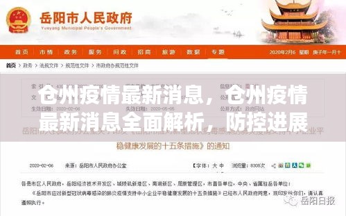 仓州疫情最新消息全面解读