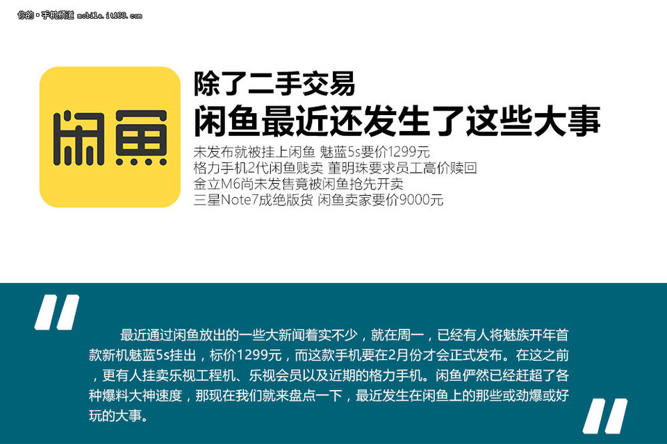 闲鱼网最新消息全面解析