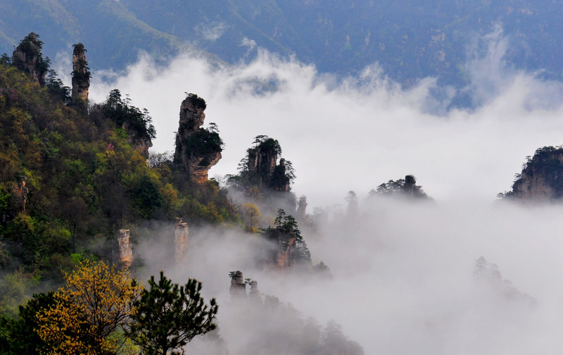 张家界最新情况，自然美景、旅游发展与生态保护并重前行