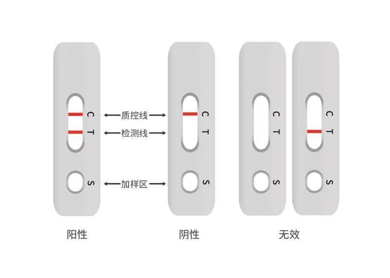 2025年1月7日 第10页