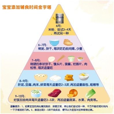 最新宝宝辅食顺序表，科学添加辅食，助力宝宝健康成长