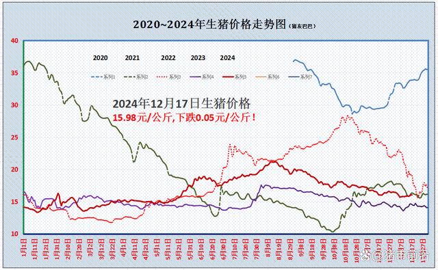 今日猪价与猪肉最新价格分析