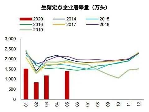 最新生猪信息网，行业洞察与趋势分析