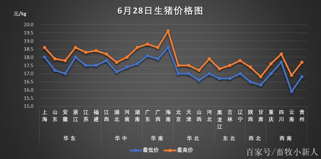 最新生猪价格与猪价报价概述