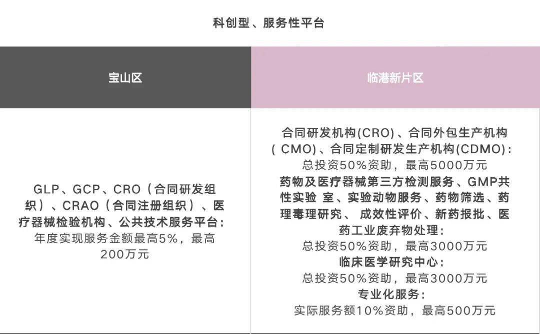 入琼最新政策解读与影响分析