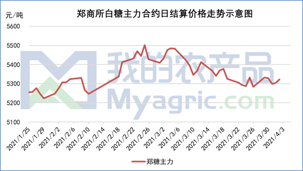 今日白糖价格行情最新分析与展望