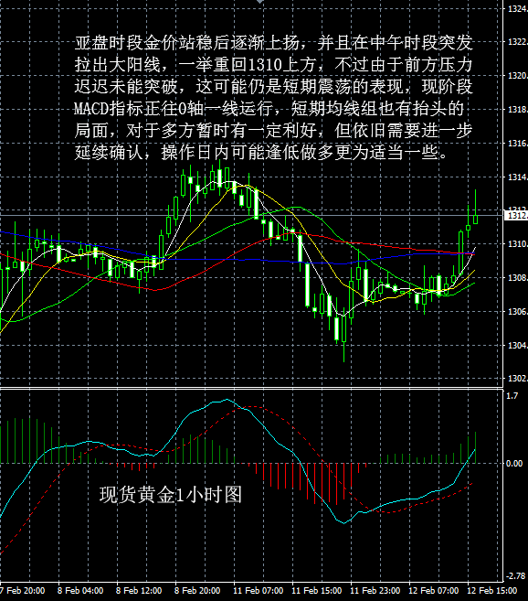 最新黄金走势分析及建议