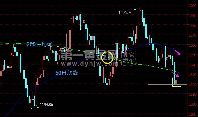 黄金价格现货最新动态，市场走势分析与预测