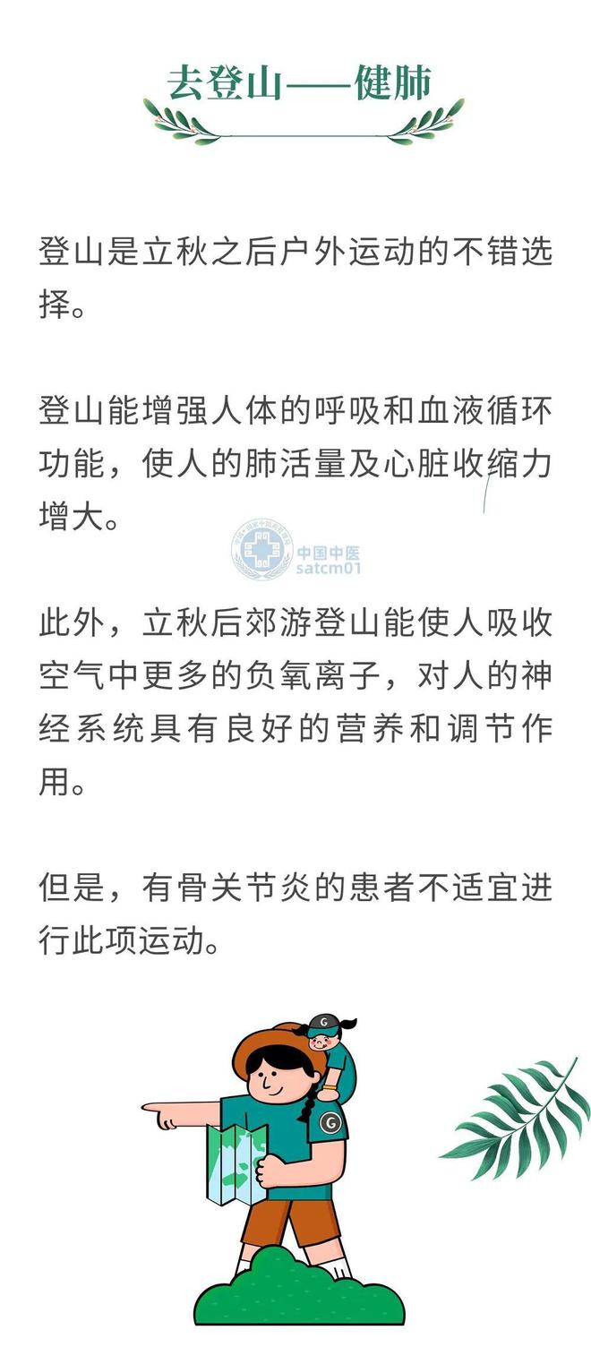 肺情最新消息，深入了解肺部健康的新进展与挑战