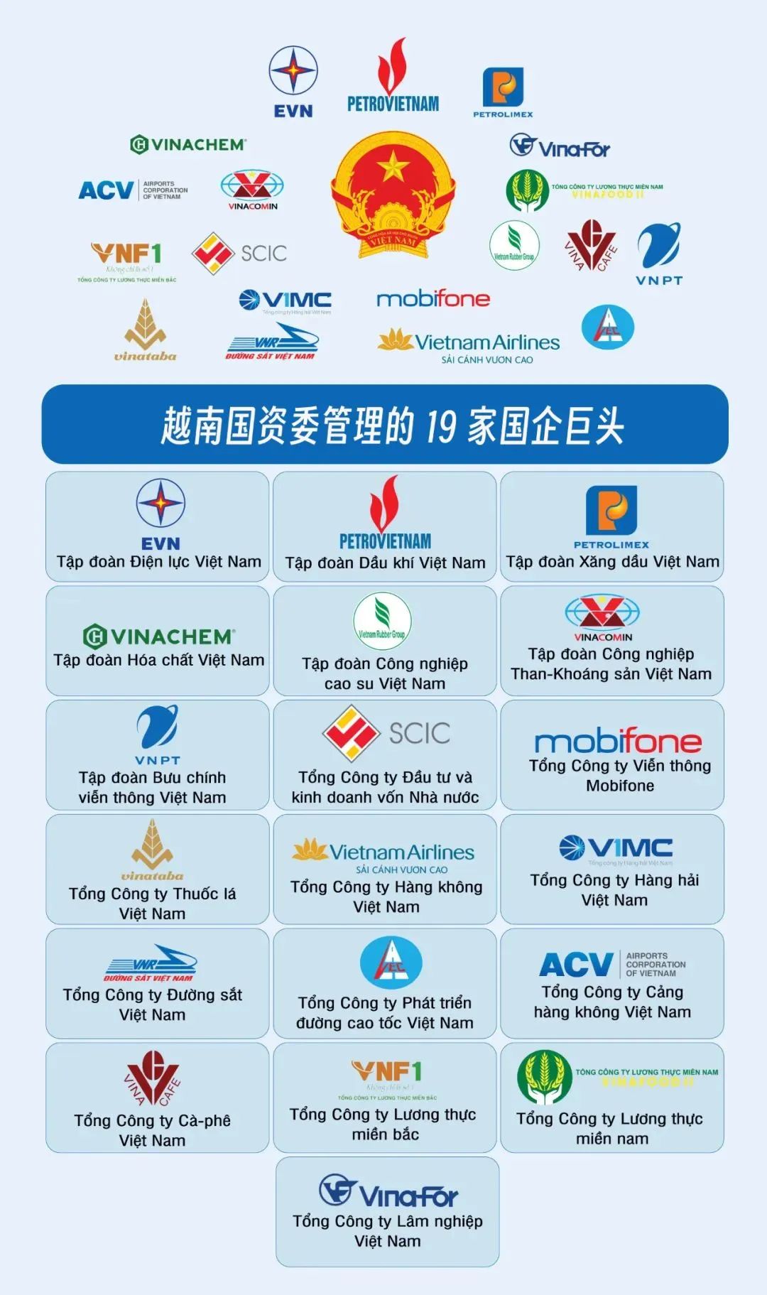 越南最新政府消息深度解析