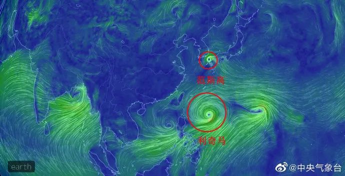 山东最新台风实时路径图，掌握台风动态，保障安全