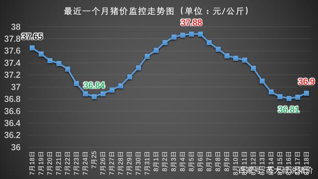 7月猪肉市场观察，最新价格动态与市场趋势分析