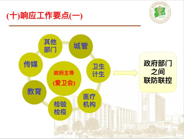 疫情最新消息，全球态势与应对策略的更新