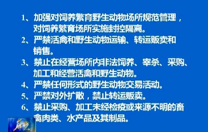 新型肺炎疫情最新更新，全球态势与应对策略的深化分析