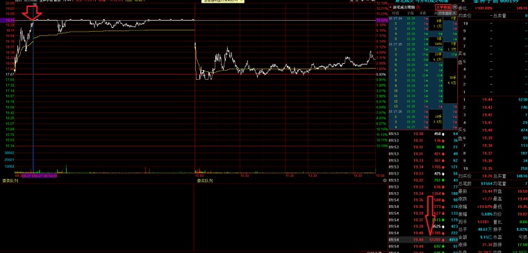 牛板金最新情况深度解析