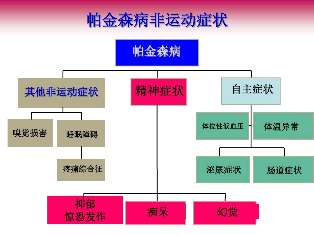 美国的最新病毒情况，全面解析与应对策略