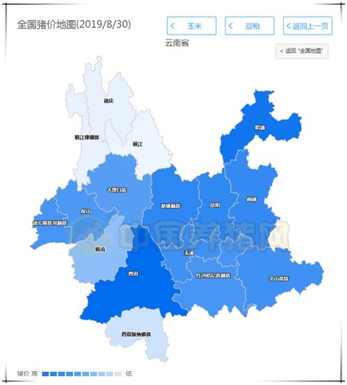 今日猪价行情最新动态，聚焦云南市场