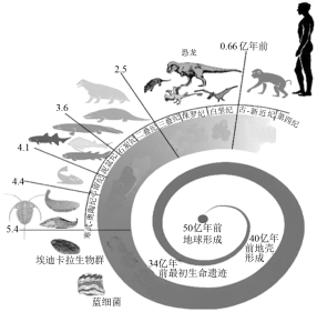 2025年1月30日 第5页