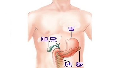 胰腺癌最新的治疗进展与策略