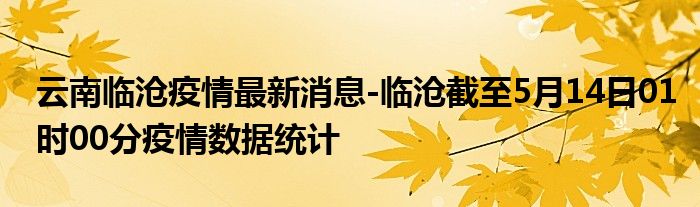 云南临沧疫情最新情况