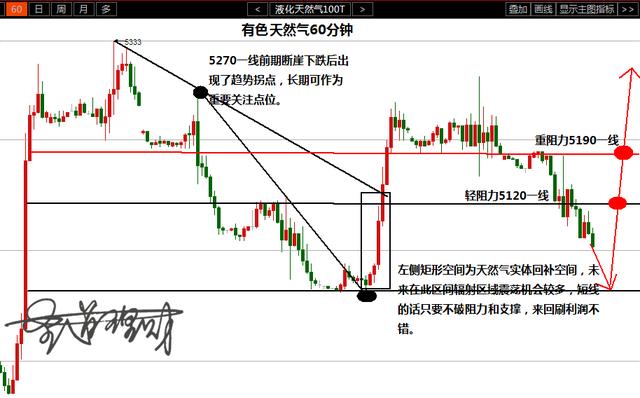 牛板筋最新消息，行业趋势与市场动态深度解析