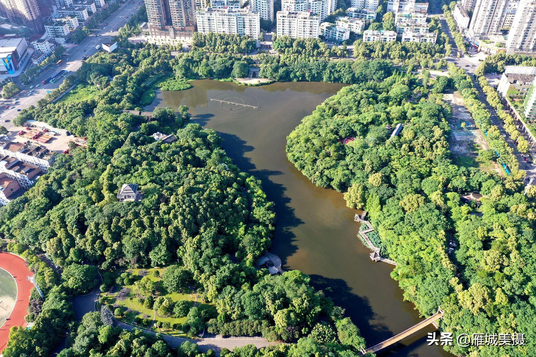 衡阳公园最新消息，重塑城市绿肺，打造生态宜居新地标